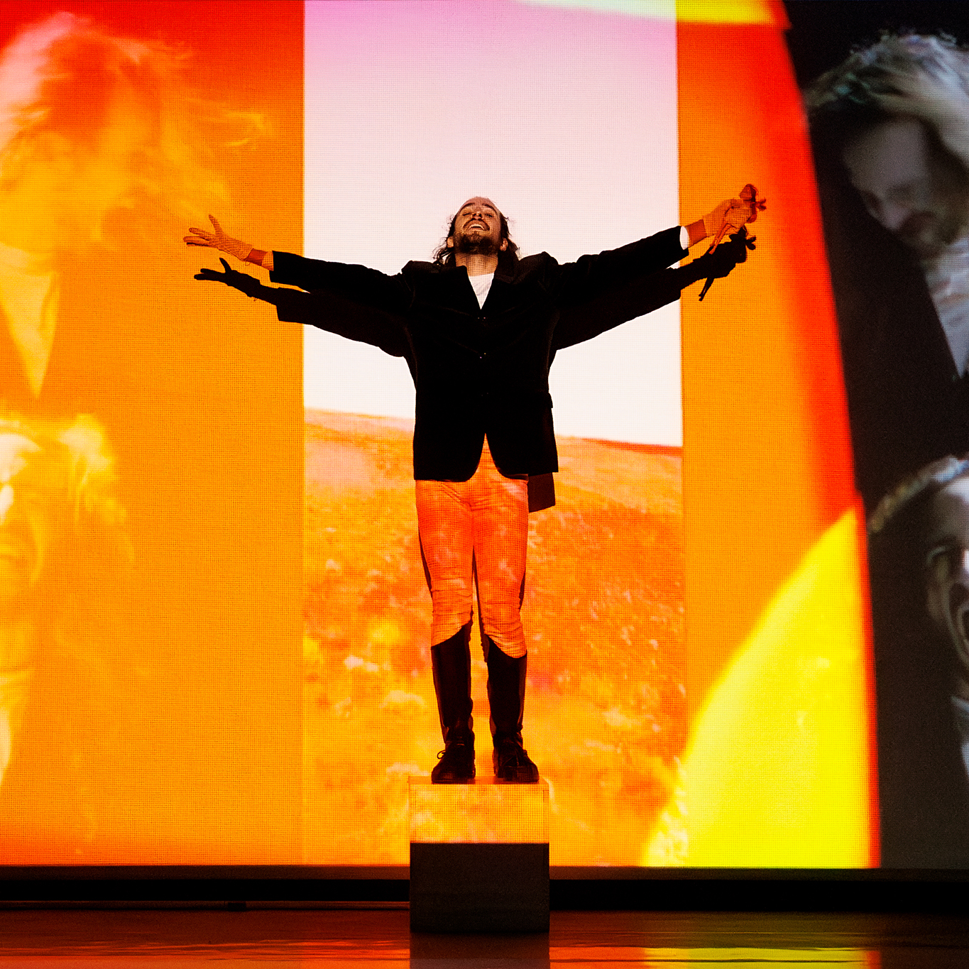 foto 1 Angry Butterfly